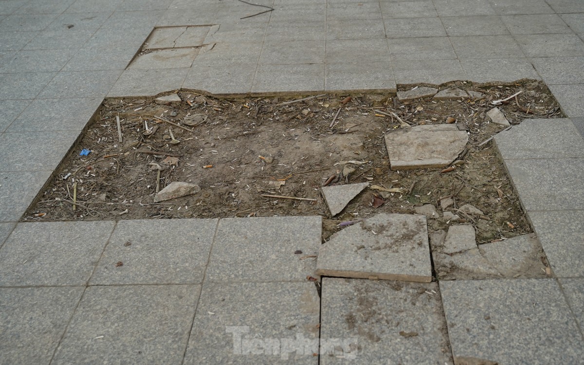 Nhiều đoạn gạch lát trong công viên bị vỡ thành các mảng lớn.