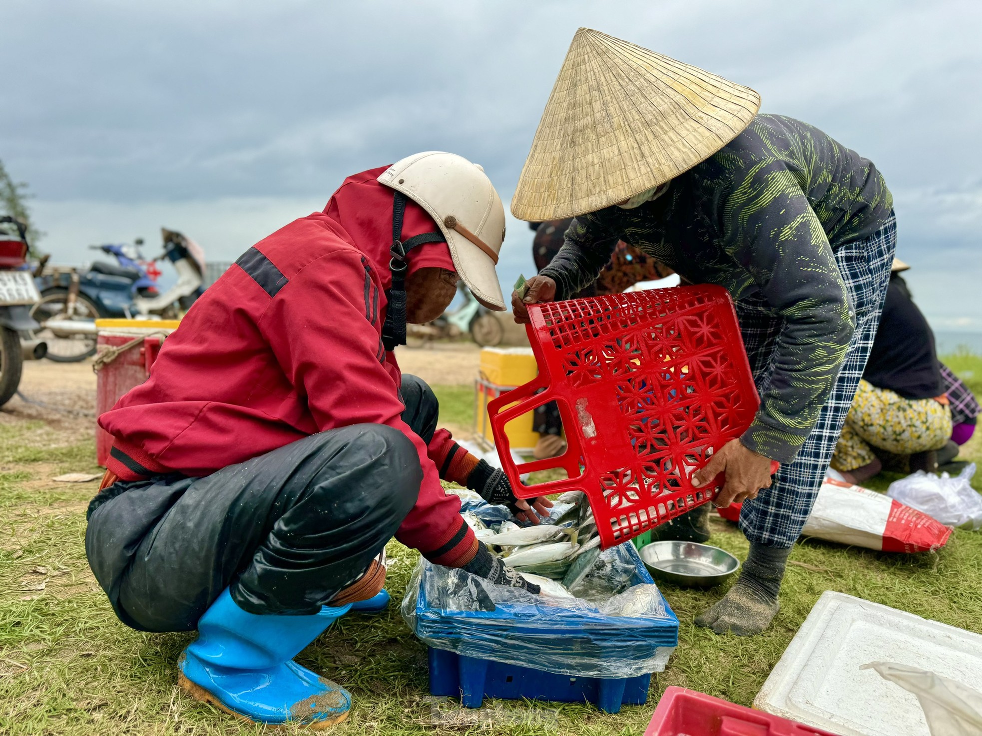 amp;#34;Thót timamp;#34; cảnh ngư dân vùng bãi ngang Quảng Ngãi thi gan với sóng ra khơi mùa biển động - 29