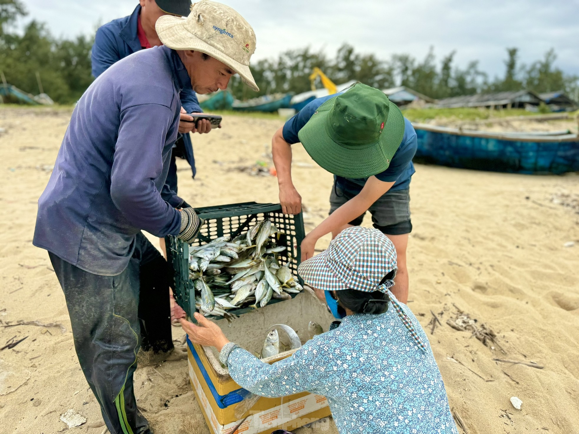 amp;#34;Thót timamp;#34; cảnh ngư dân vùng bãi ngang Quảng Ngãi thi gan với sóng ra khơi mùa biển động - 27
