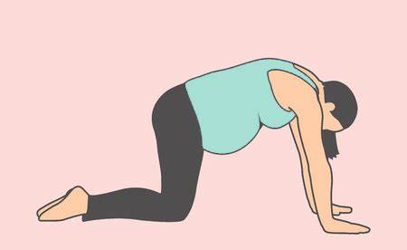 Tư thế con mèo giúp mẹ bầu cải thiện tuần hoàn máu.