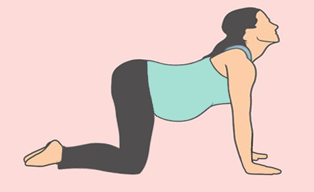 Tư thế con bò làm giảm áp lực lên cột sống cho mẹ bầu.
