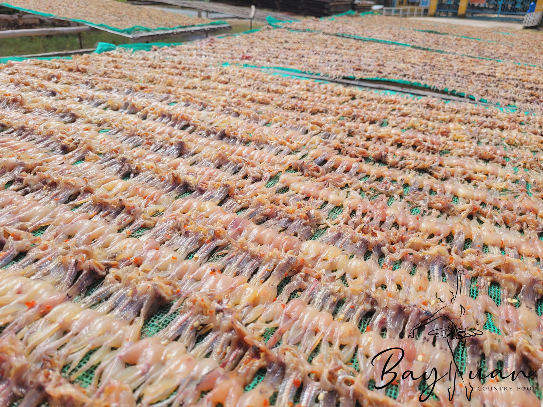 Món vũ nữ chân dài ở an giang đắt ngang tôm hùm khách ăn sạch cả xương - 2