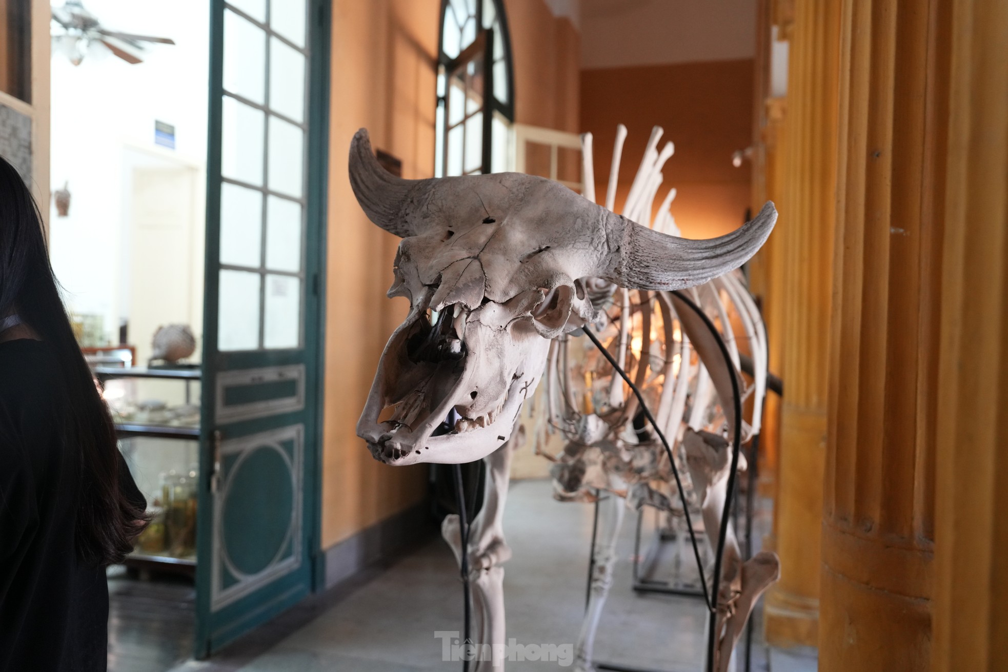 Chiêm ngưỡng hình ảnh tại thánh đường tri thức của Hà Nội - 14