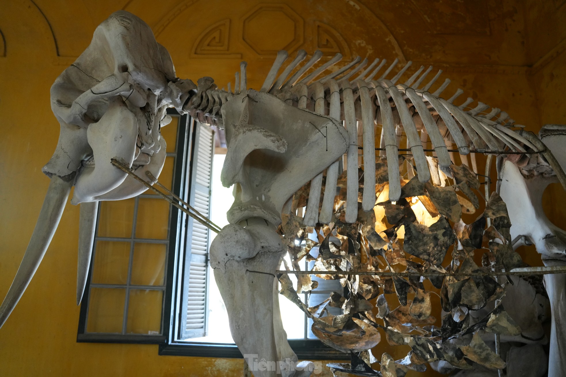 Chiêm ngưỡng hình ảnh tại thánh đường tri thức của Hà Nội - 13