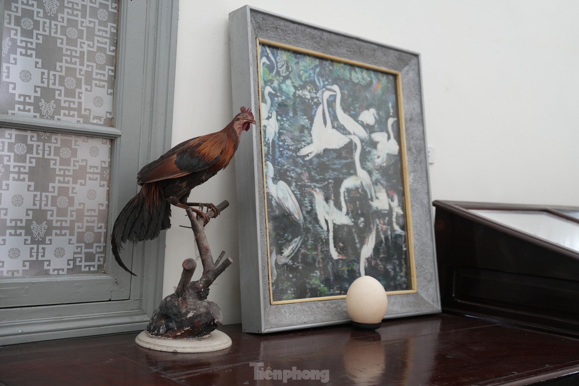 Chiêm ngưỡng hình ảnh tại thánh đường tri thức của Hà Nội - 15