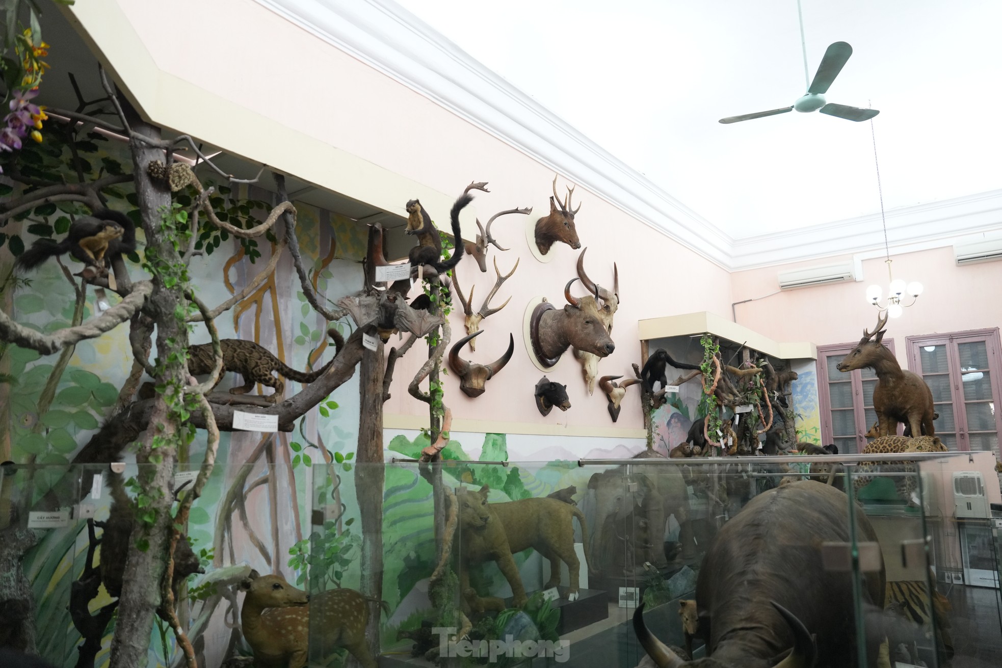 Chiêm ngưỡng hình ảnh tại thánh đường tri thức của Hà Nội - 16