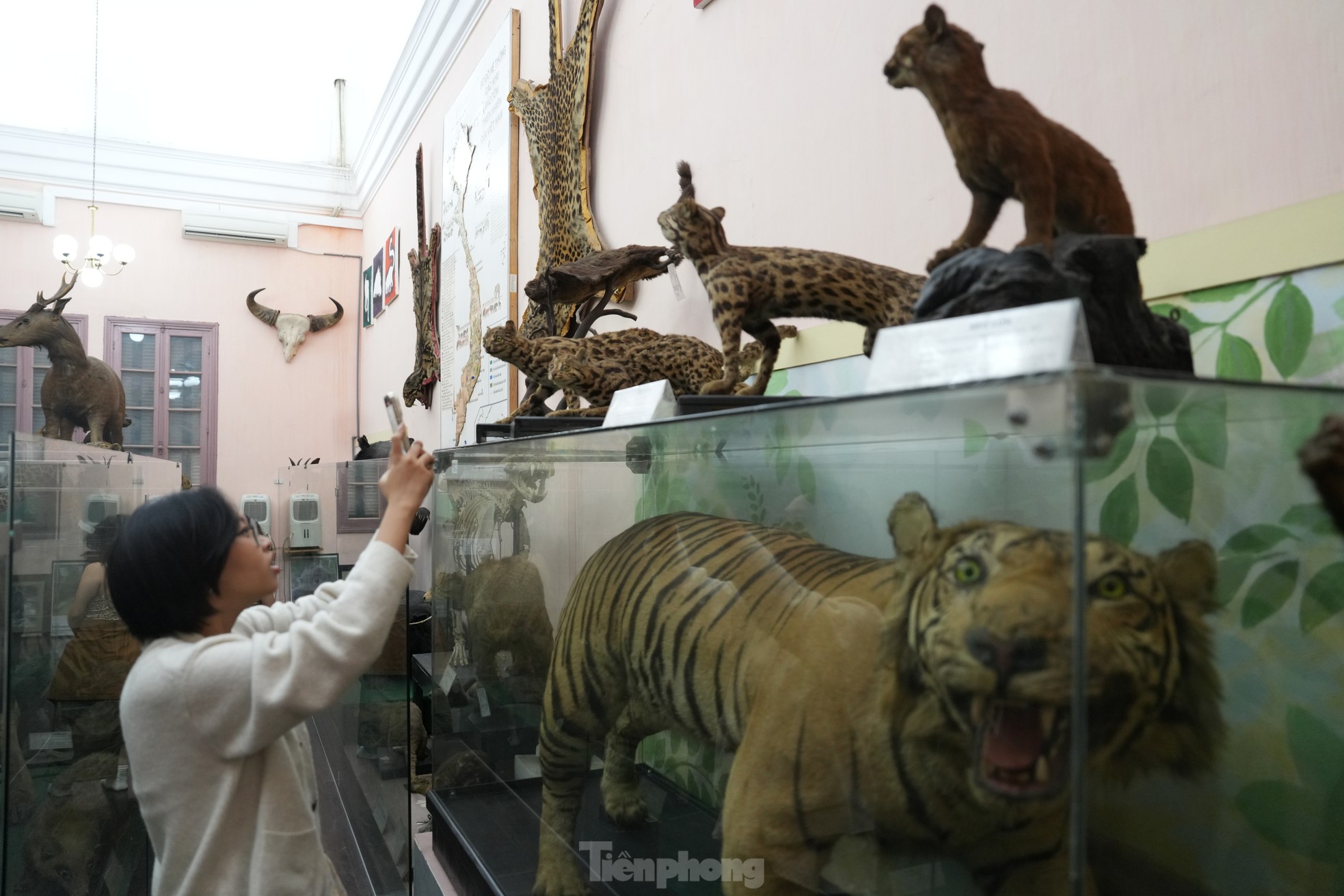 Chiêm ngưỡng hình ảnh tại thánh đường tri thức của Hà Nội - 17