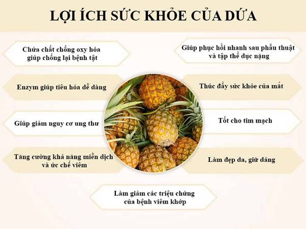 Các enzyme trong dứa có tên là bromelain, giúp làm chậm quá trình đông máu, tăng sản xuất hồng cầu và bạch cầu, từ đó cải thiện lưu thông máu. Bromelain cũng có đặc tính chống viêm và được sử dụng để giảm đau, giảm sưng tấy do bỏng, đau khớp và các bệnh viêm nhiễm khác.