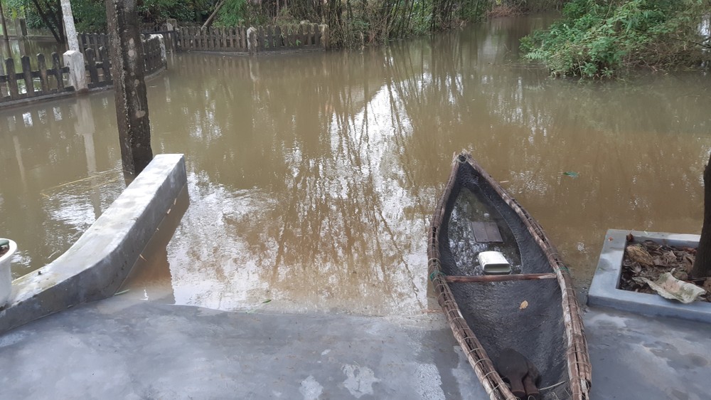 Đặc biệt, mỗi nhà dân ở đây đều được trang bị ít nhất 1 chiếc thuyền là phương tiện đi lại trong mùa mưa lũ.