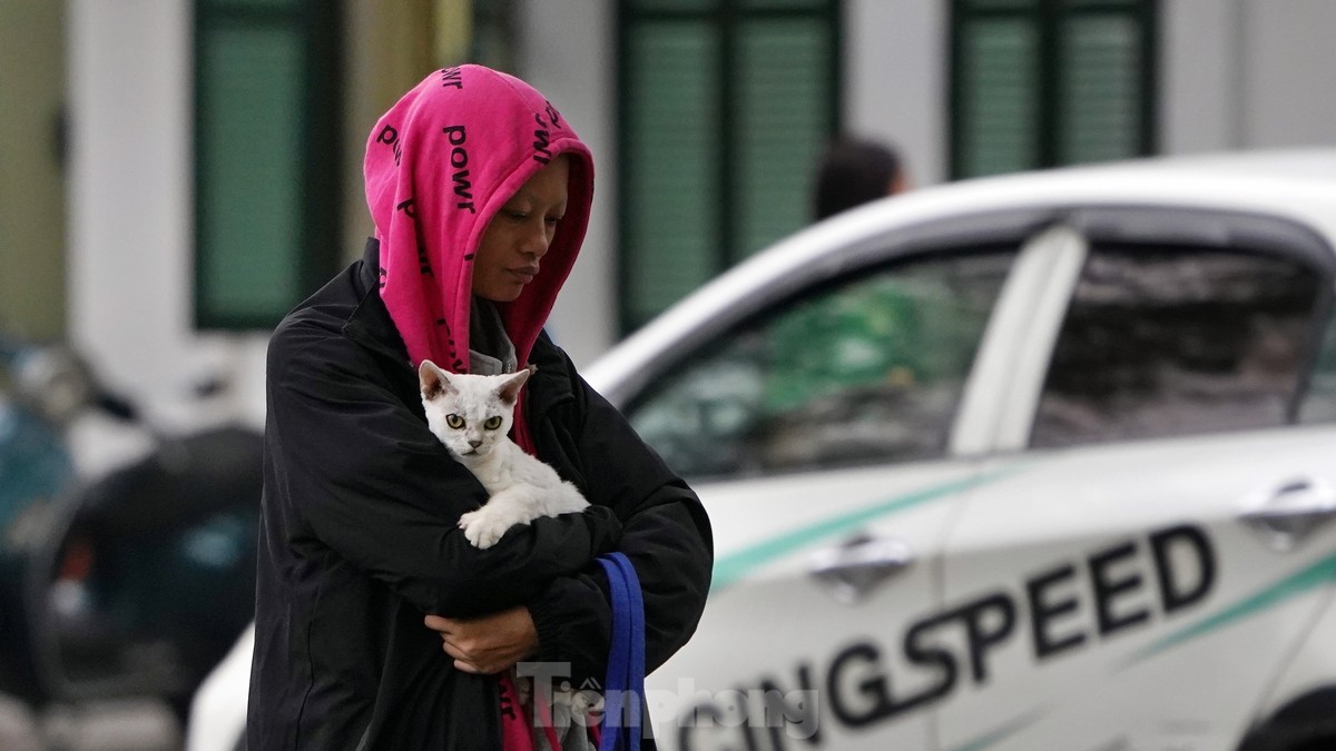 Mang thú cưng đi dạo phố trong tiết trời se lạnh.