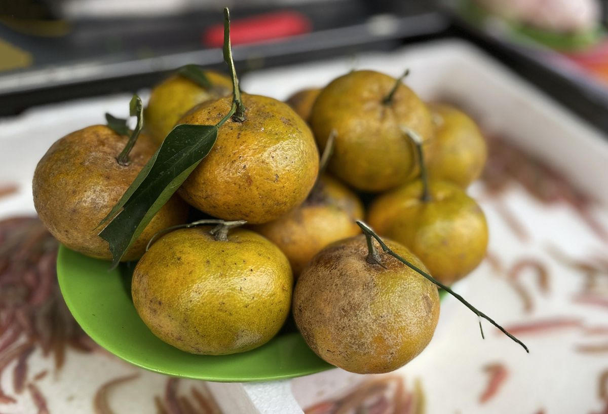 Hàng chả rươi truyền thống hơn 30 năm ở phố cổ - 4