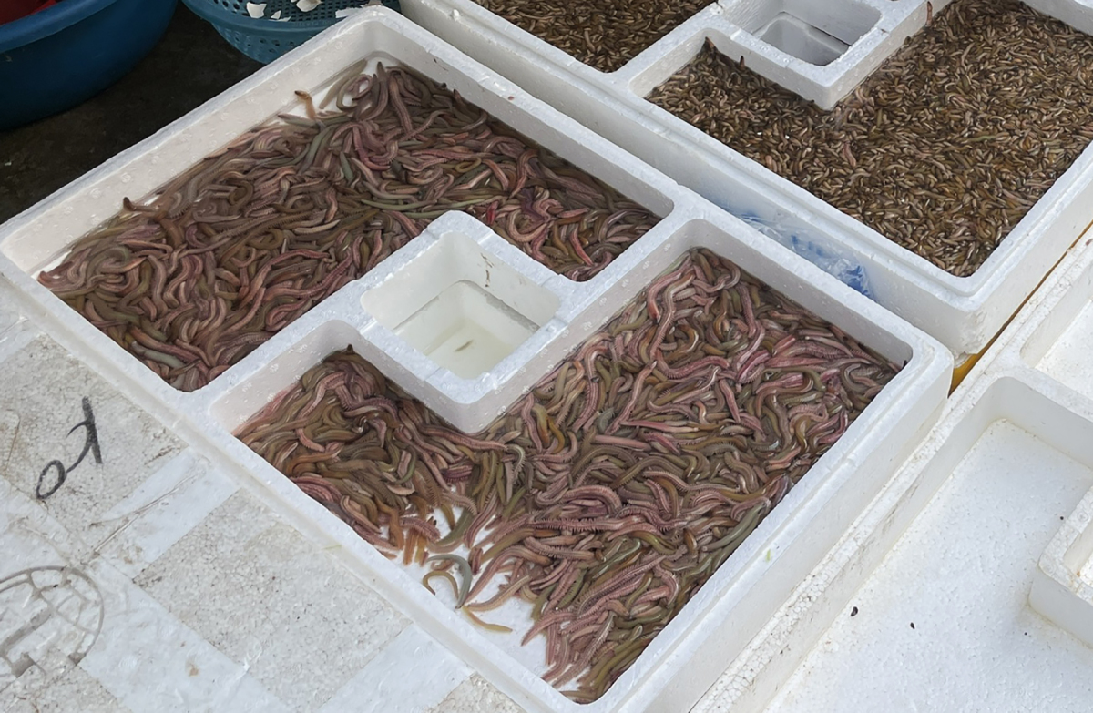 Hàng chả rươi truyền thống hơn 30 năm ở phố cổ - 3