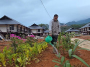 Tin tức - Người dân Làng Nủ dựng vườn, trồng hoa chuẩn bị về nhà mới