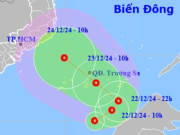 Xuất hiện trên Biển Đông, áp thấp nhiệt đới hướng vào Nam Trung bộ