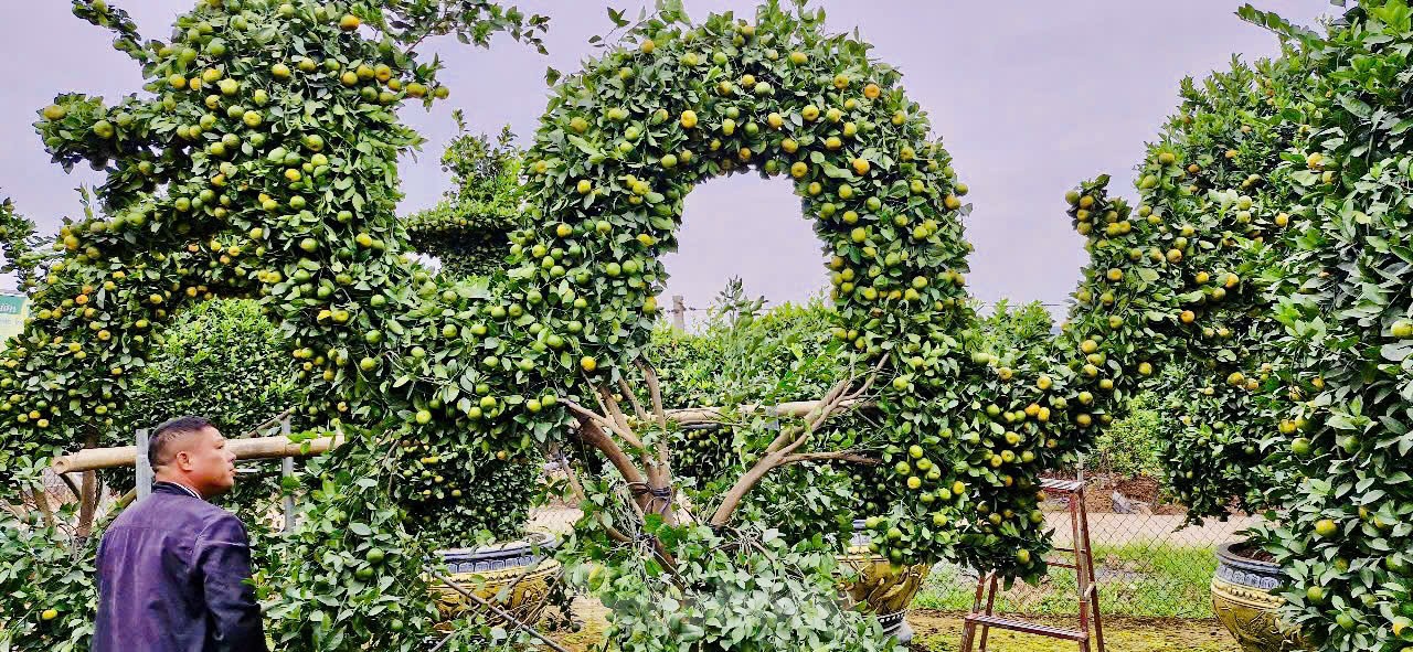 img src/upload/4-2024/images/2024-12-26/1735176220-tp-q26-7926-7497-width1225height590.jpg width660 /