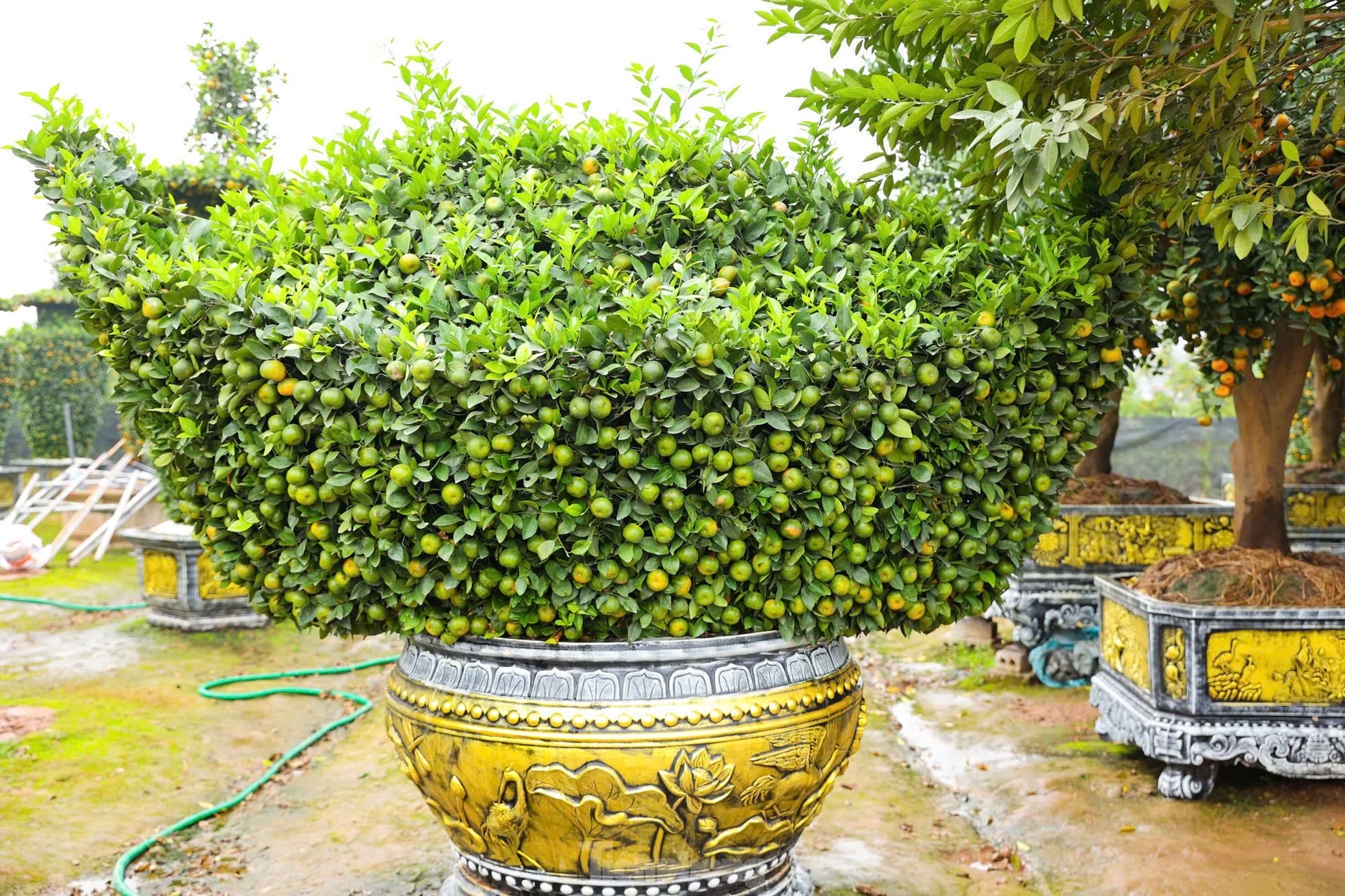 img src/upload/4-2024/images/2024-12-26/1735176220-tp-q31-7077-6345-width1280height854.jpg width660 /