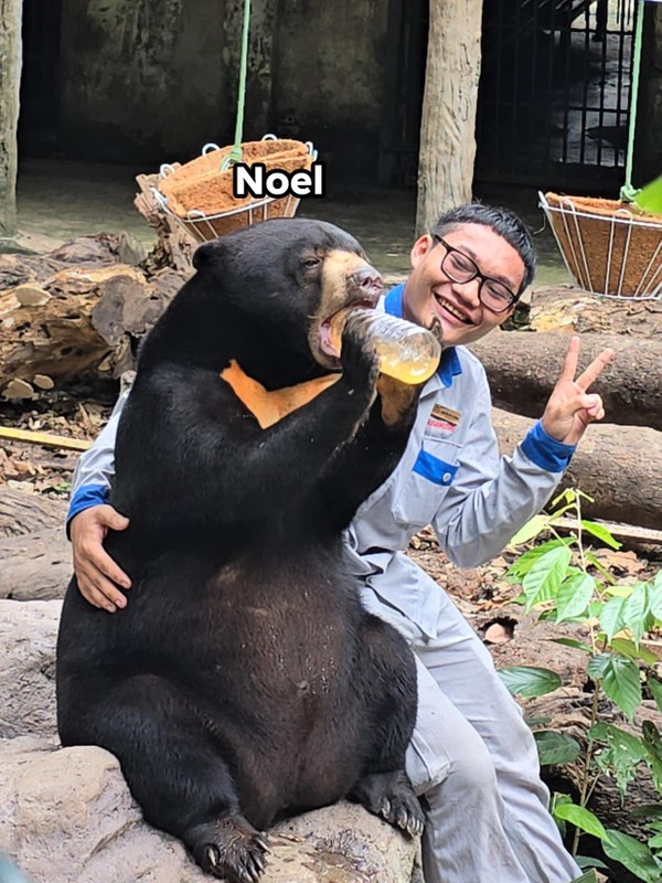 Công chúa Noel - ngôi sao sáng của Thảo Cầm Viên được rất nhiều người yêu mến. Sở dĩ chú gấu chó này có cái tên đặc biệt là Noel vì cô gấu được sinh ra vào đúng ngày lễ Giáng sinh. Noel cũng vừa có một bữa tiệc sinh nhật hoành tráng.