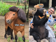 Lifestyle - Dàn “idol giới trẻ” với những cái tên độc lạ ở Thảo Cầm Viên