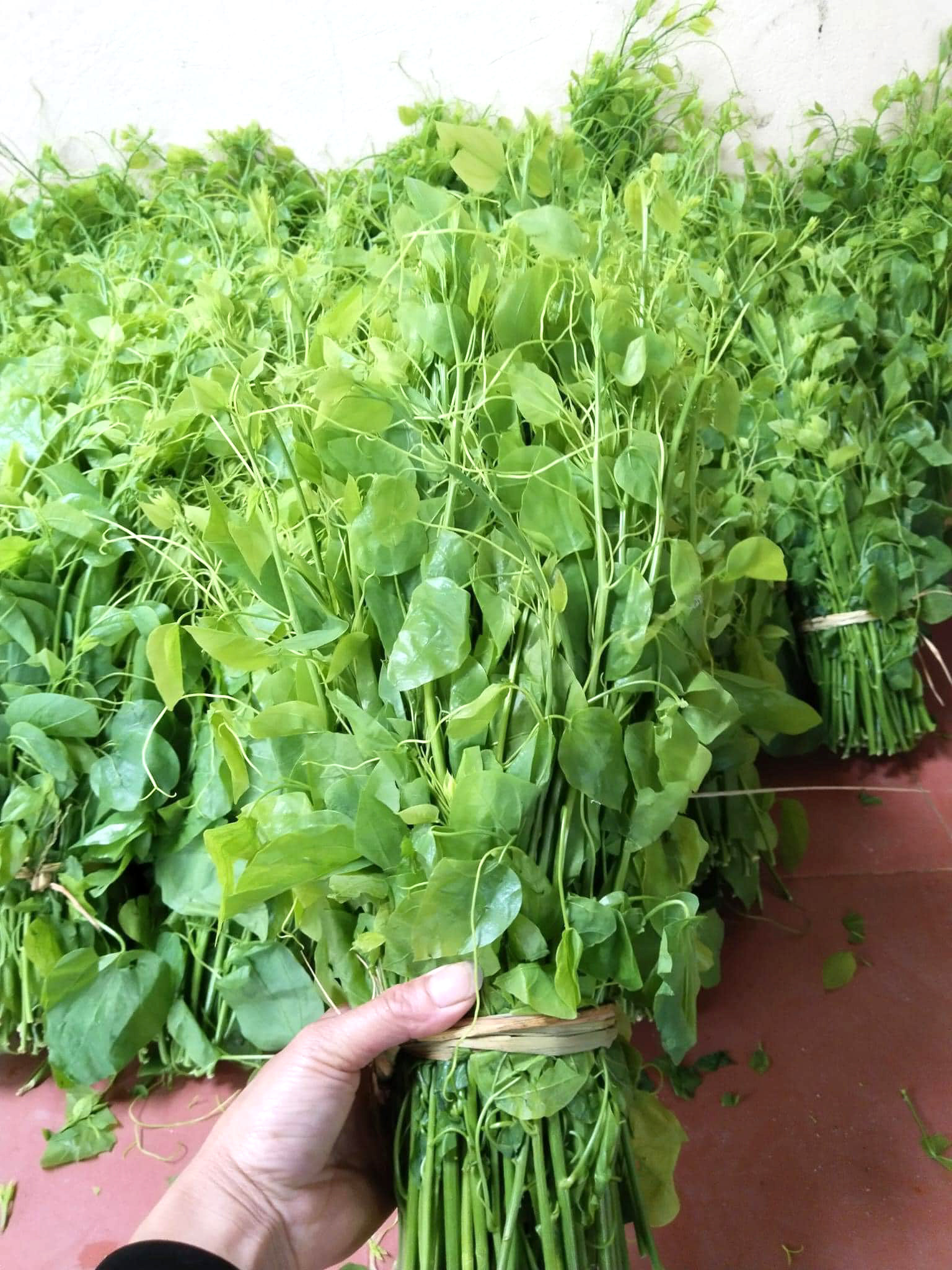 Đặc sản có tên amp;#39;bốc mùiamp;#39; ở Bắc Kạn, khách sành ăn mua vài cân cho bõ thèm - 1