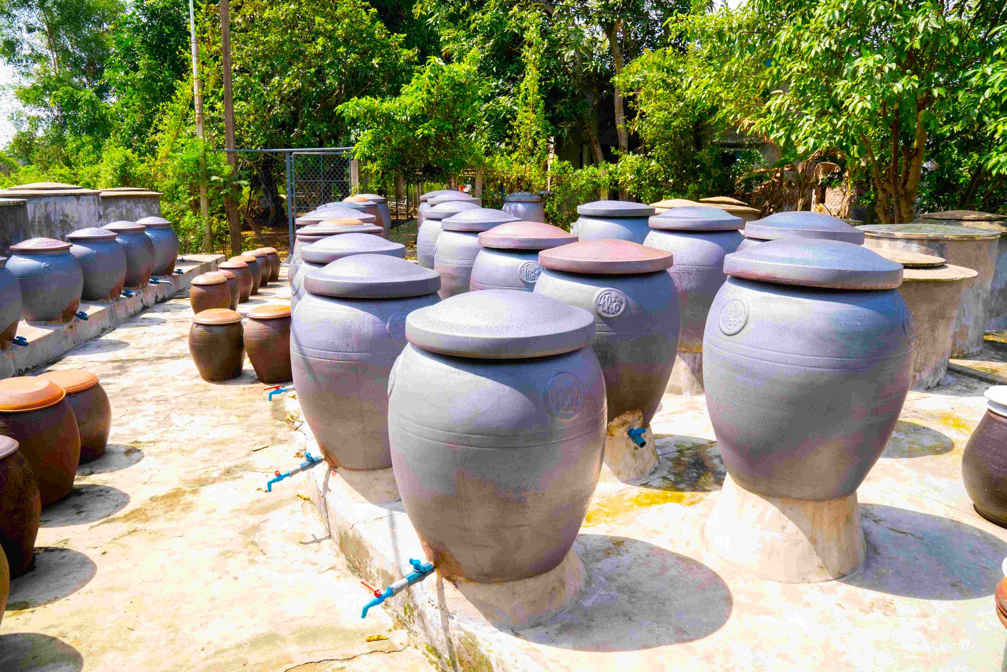 Làng nghề chế biến nước mắm Hải Giang 1 (phường Nghi Hải, thành phố Vinh, Nghệ An), là một trong những làng nghề sản xuất nước mắm có truyền thống lâu đời. Năm 2010, làng nghề được UBND tỉnh Nghệ An cấp chứng chỉ, năm 2013, được Cục Sở Hữu Trí Tuệ cấp Bằng độc quyền kiểu dáng công nghiệp. Từ năm 2014 đến năm 2020, làng nghề được bình chọn là Sản phẩm Công nghiệp Nông thôn tiêu biểu cấp khu vực.