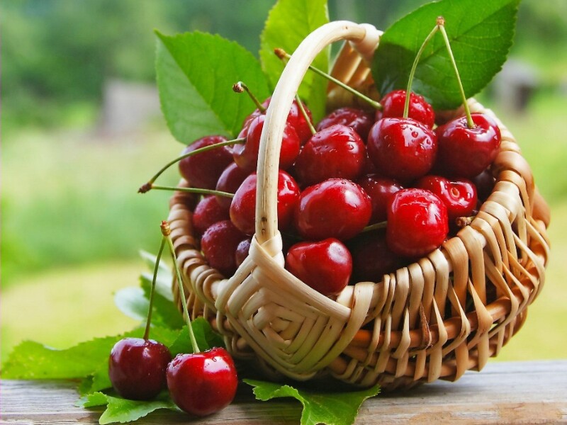 Lớp vỏ mỏng của cherry cũng tạo điều kiện cho thuốc trừ sâu bám vào và khó loại bỏ hoàn toàn, kể cả khi rửa sạch. Ngoài ra, cherry thường được thu hoạch khi đã chín nên việc bảo vệ cherry khỏi côn trùng trong suốt giai đoạn này đòi hỏi sử dụng thêm hóa chất.