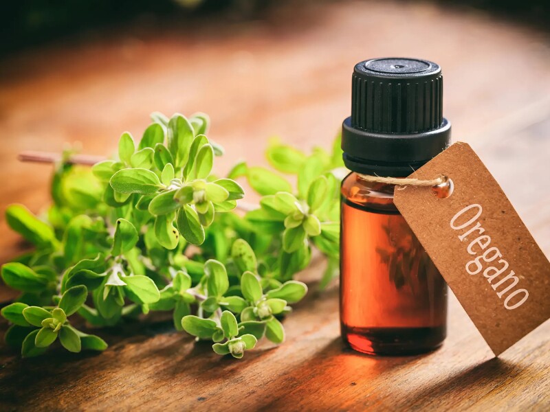 Dầu oregano là một loại tinh dầu tự nhiên với khả năng diệt khuẩn, chống nấm và chống ký sinh trùng mạnh mẽ. Các hợp chất như carvacrol và thymol trong dầu oregano giúp loại bỏ các loại ký sinh trùng đường ruột hiệu quả. 
