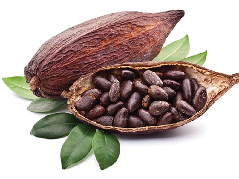 Cacao nguyên chất chứa flavonoid chống oxy hóa mạnh giúp giảm viêm và cải thiện độ nhạy insulin. 