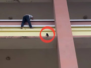 Tin tức - Tin tức 24h: Nín thở theo dõi chiến sĩ công an giải cứu bé gái 3 tuổi chênh vênh ở tầng 4