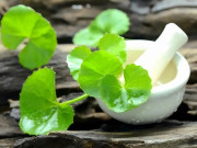 Sức khỏe - Loại rau mọc dại khắp vườn, không tốn tiền mua, nhiều người tưởng cỏ nhổ bỏ nhưng là "thuốc quý" tốt ngang nhân sâm 