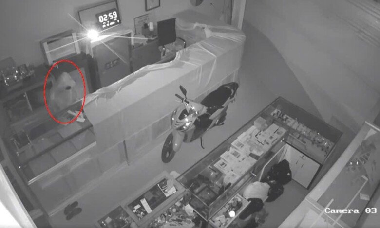 Huy đột nhập vào tiệm vàng lấy trộm 4 khay vàng với tổng giá trị gần 300 triệu đồng.