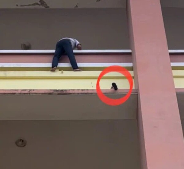 Cháu bé 3 tuổi được giải cứu thành công khi đang chênh vênh ở tầng 4. (Ảnh: Công an huyện Đắk Mil).