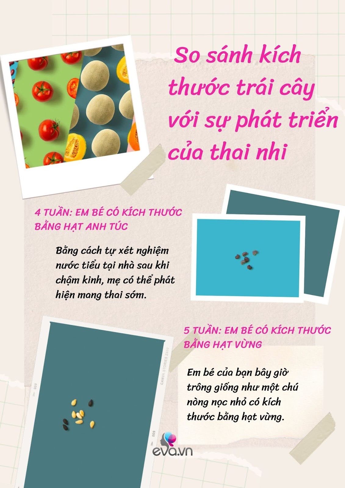 So sánh sinh động về kích thước của thai nhi qua từng tuần thai để mẹ biết em bé lớn nhanh thế nào - 1