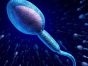 Bà bầu - Nguyên nhân gây vô sinh hiếm muộn theo quan điểm Đông y