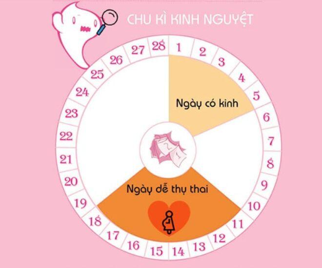 Chu kỳ kinh nguyệt trung bình là 28 ngày.