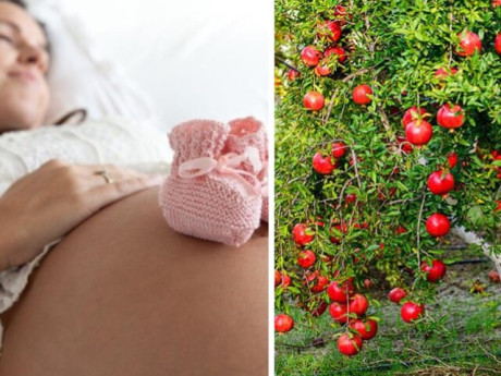 Loại quả mẹ bầu rỉ tai nhau đi hái trộm để con sinh có má lúm đồng tiền, bán đầy chợ với giá vài chục ngàn đồng