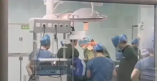 Bà Lý hạ sinh con trai thành công.