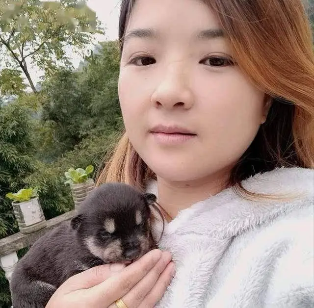 Ngô Sương gặp nhiều khó khăn trên hành trình tìm con.