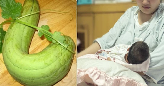 Không chỉ là mẹo dân gian, mướp còn được khoa học chứng minh.