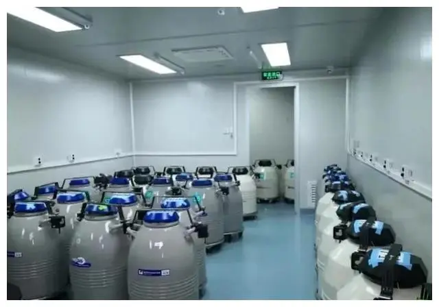 Phôi đông lạnh được lưu trữ.