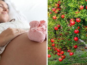 Loại quả mẹ bầu rỉ tai nhau đi hái trộm để con sinh có má lúm đồng tiền, bán đầy chợ với giá vài chục ngàn đồng