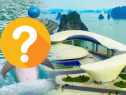 Lifestyle - Loài vật nào là cá, sống ở biển nhưng không thể thở ở dưới nước, được mệnh danh là sinh vật biển độc nhất?