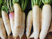 Bếp Eva - Mua củ cải, chọn củ rễ to ngắn hay nhỏ dài thì ngon, người nông dân mách điều bất ngờ