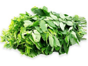 Bếp Eva - Rau ngót mua về cực nhanh héo, làm ngay 2 cách này rau để trên 1 tuần vẫn tươi ngon như vừa hái