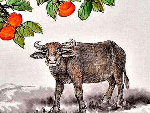 Image of the Chinese Zodiac sign, Ox