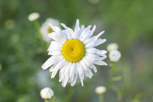 4 điều người khôn ngoan nhất định làm trong tháng cuối cùng của năm 2024 - 4