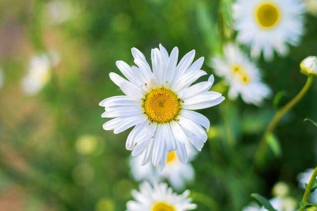 4 điều người khôn ngoan nhất định làm trong tháng cuối cùng của năm 2024 - 2