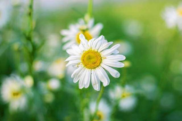 4 điều người khôn ngoan nhất định làm trong tháng cuối cùng của năm 2024 - 3