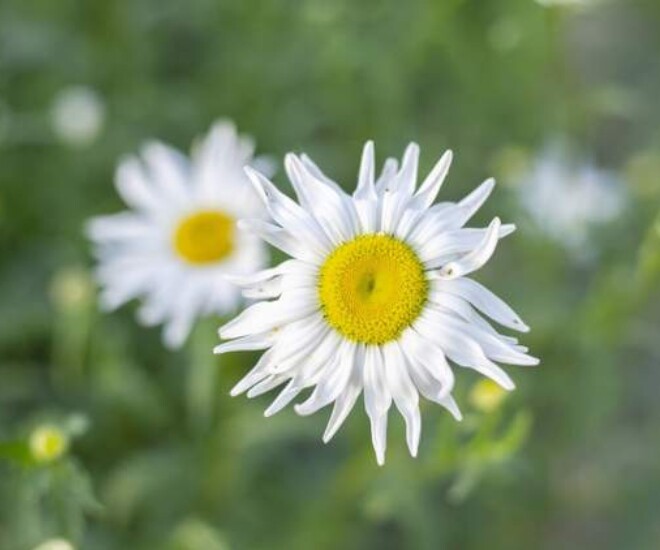 4 điều người khôn ngoan nhất định làm trong tháng cuối cùng của năm 2024 - 1