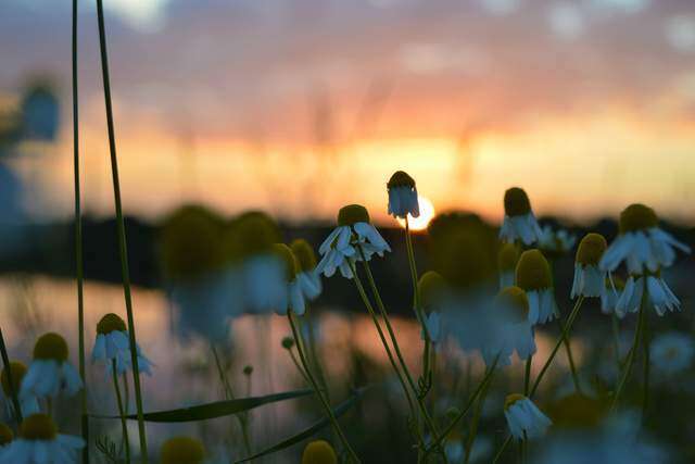 5 cách thay đổi bản thân khôn ngoan nhất - 2