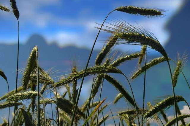 5 cách thay đổi bản thân khôn ngoan nhất - 3